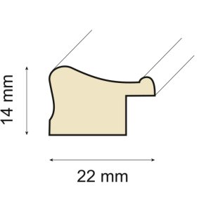 Houten lijst Peps 20x30 cm citrusvruchten