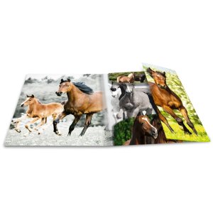 Postmap a3 met elastiek Paarden