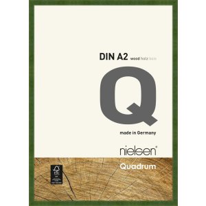 Houten clip-on lijst Quadrum 42x60 cm groen