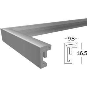 Nieuw Lifestyle 50x60 zilver plastic fotolijst