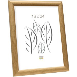 Fotolijst s40ca2 goud hout 15,0 x20,0 cm