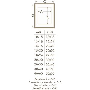 Fotolijst met passepartout wit hout 20,0 x30,0 cm;15,0 x20,0 cm s223k