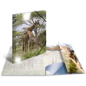 Herma Glossy Dieren a3 pp Giraffe map