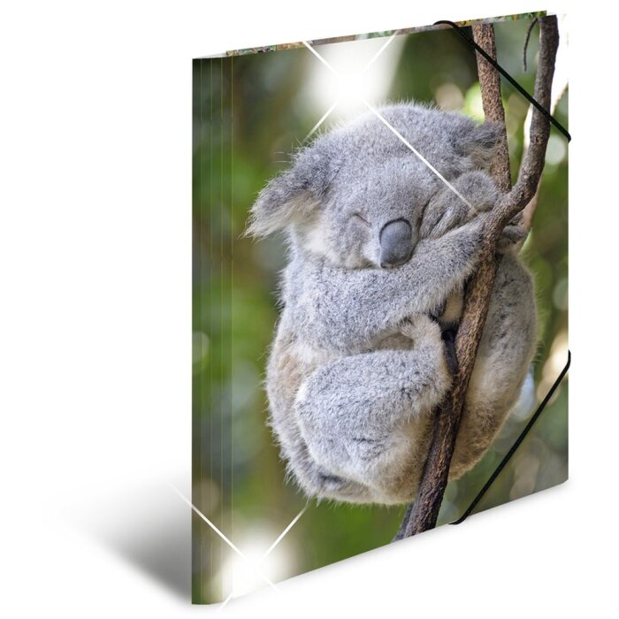 Herma Glossy Dieren a3 pp Koala Map