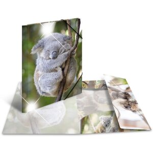 Herma Glossy Dieren a3 pp Koala Map