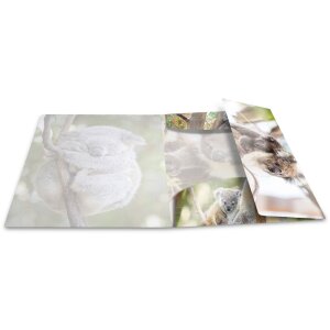 Herma Glossy Dieren a3 pp Koala Map