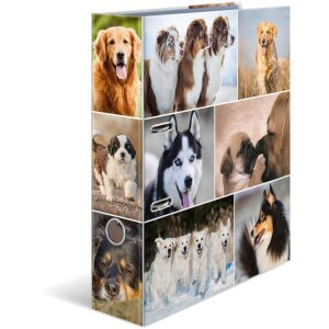 Herma Motiefmap a4 Dieren - Honden