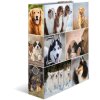 Herma Motiefmap a4 Dieren - Honden