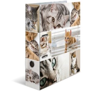 Herma Motiefmap a4 Dieren - Katten