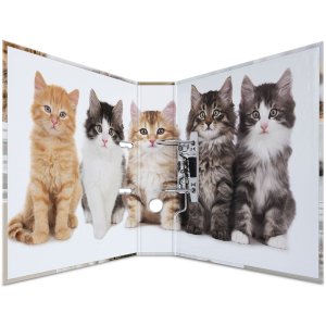 Herma Motiefmap a4 Dieren - Katten