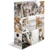 Herma Motiefmap a4 Dieren - Katten