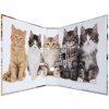 Herma Motiefmap a4 Dieren - Katten