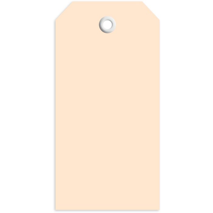 Tags 45x90 mm met plastic oogje 1000 stuks.