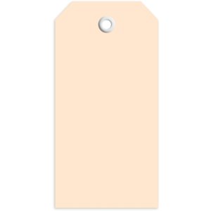 Tags 45x90 mm met plastic oogje 1000 stuks.