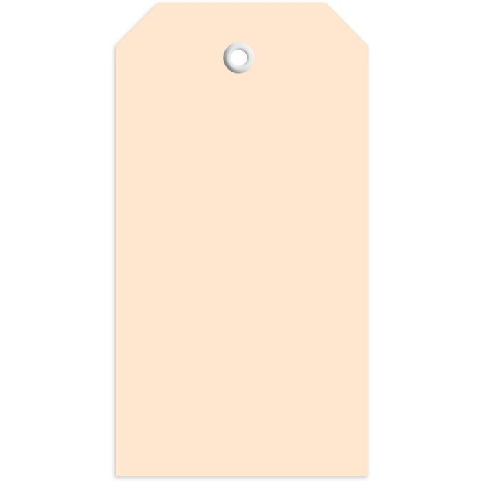 Etiket 60x113 mm met plastic oogje 1000 st.