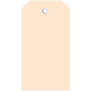 Etiket 60x113 mm met plastic oogje 1000 st.