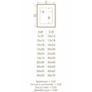 s223k1 Houten lijst in wit met passe-partout 40x60 cm