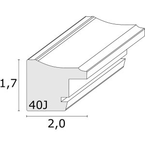 s40je3 Houten lijst in donkerbruine houtkleur met zilveren rand 20x25 cm