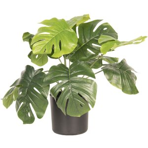 Decoratieplant Monstera Deliciosa 42x42x40 cm