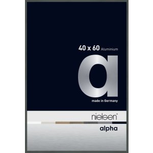 Nielsen Aluminium fotolijst Alpha 40x60 cm platina