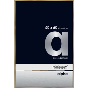 Nielsen Aluminium Fotolijst Alpha 40x60 cm geborsteld amber