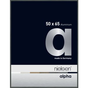 Nielsen Aluminium fotolijst Alpha 50x65 cm platina