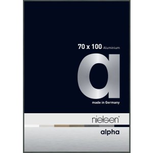 Nielsen Aluminium fotolijst Alpha 70x100 cm platina