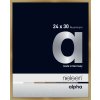 Nielsen Aluminium fotolijst Alpha tcsc 24x30 cm geborsteld amber