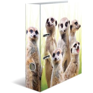 HERMA motiefmap A4 Exotische dieren - meerkat troep