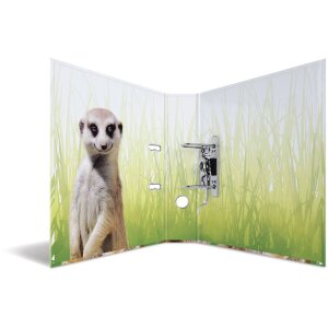 HERMA motiefmap A4 Exotische dieren - meerkat troep