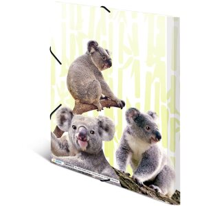 HERMA A4 PP map - Koala familie