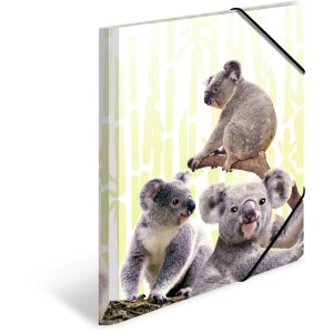 HERMA A4 PP map - Koala familie