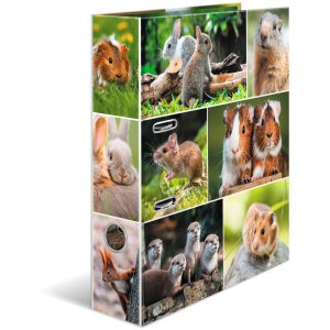 HERMA Motiefmap A4 Dieren - Knaagdieren