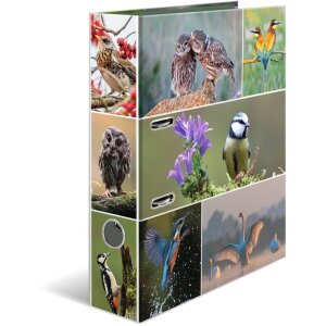 HERMA Motiefmap A4 Dieren - Home Vogels