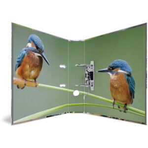 HERMA Motiefmap A4 Dieren - Home Vogels