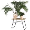 Clayre en Eef 64968 Planter Tafel Bruin 46x26x33 cm