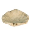 Clayre en Eef 6te0384 Vogelbad Blad Beige 22x22x6 cm