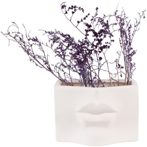 Clayre & Eef 6CE1526 Decoratie bloempot 17x7x11 cm Wit