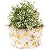 Clayre & Eef 6CE1533L Decoratie bloempot Ø 19x10 cm Geel