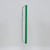 Effect kunststof lijst Art groen 25x60 cm helder glas