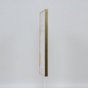 Effect kunststof lijst Art goud 30x30 cm helder glas