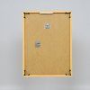 Effect kunststof lijst Art geel 40x60 cm helder glas