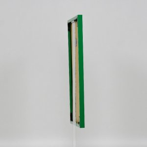 Effect kunststof lijst Art groen 62x93 cm helder glas