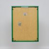 Effect kunststof lijst Art groen 30,5x91,5 cm helder glas