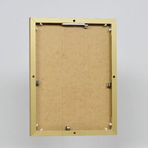 Effect aluminium fotolijst Quadro 24x30 cm goud helder glas MDF achterwand