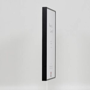 Effect aluminium fotolijst Quadro 50x100 cm zwart helder glas