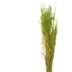 Clayre & Eef 5DF0016 Gedroogde bloemen 90 cm (50 gr)...