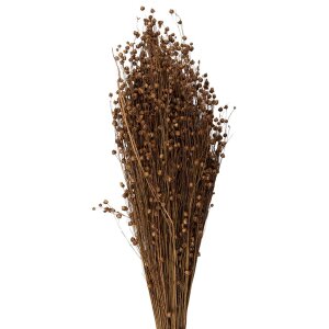 Clayre & Eef 5DF0017 Gedroogde bloemen 60 cm (100 gr)...