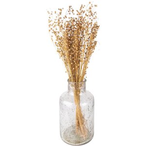 Clayre & Eef 5DF0017 Gedroogde bloemen 60 cm (100 gr) Beige