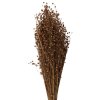 Clayre & Eef 5DF0017 Gedroogde bloemen 60 cm (100 gr) Beige